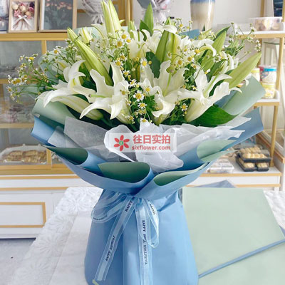 随州8支白色多头百合洋甘菊，互倾的思念